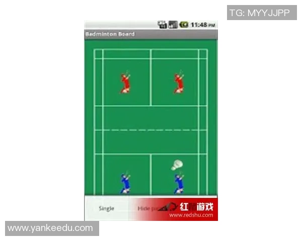 广州羽毛球队进攻战术解析与实战应用研究