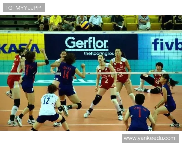 广州排球队的节奏打法深度分析与战术解读